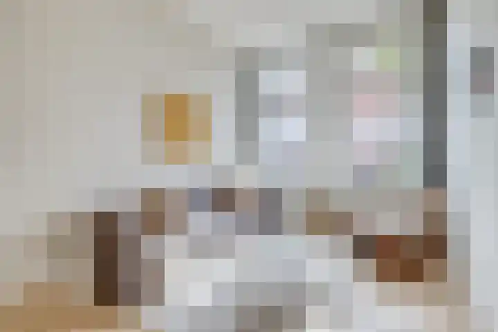Amaliadwarsstraat 15 Utrecht thumbnail 11