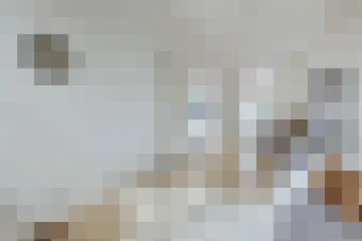 Amaliadwarsstraat 15 Utrecht thumbnail 12