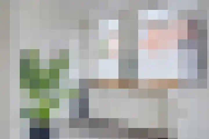 Amaliadwarsstraat 15 Utrecht thumbnail 14