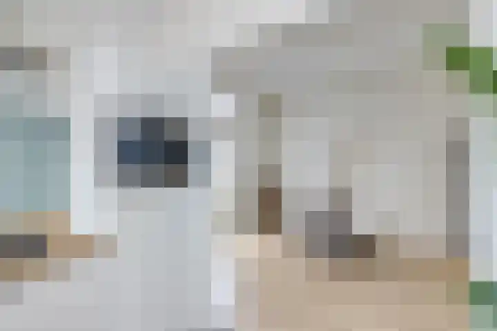 Amaliadwarsstraat 15 Utrecht thumbnail 15
