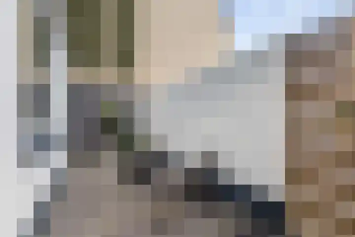 Amaliadwarsstraat 15 Utrecht thumbnail 18