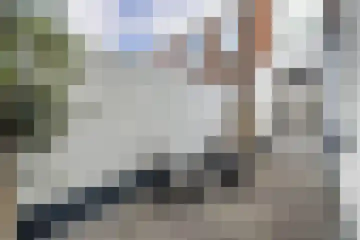 Amaliadwarsstraat 15 Utrecht thumbnail 19