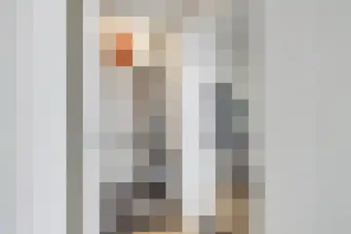 Amaliadwarsstraat 15 Utrecht thumbnail 22
