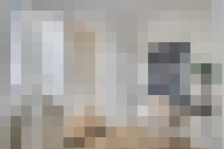 Amaliadwarsstraat 15 Utrecht thumbnail 23