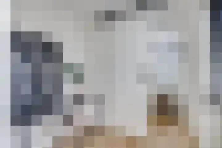 Amaliadwarsstraat 15 Utrecht thumbnail 25