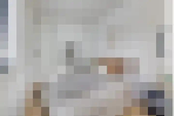 Amaliadwarsstraat 15 Utrecht thumbnail 26