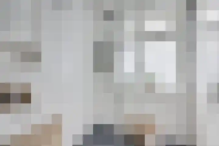 Amaliadwarsstraat 15 Utrecht thumbnail 30