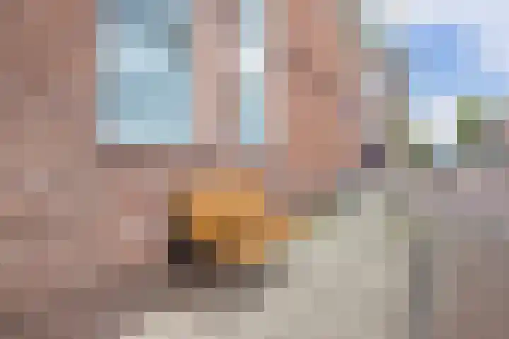 Amaliadwarsstraat 15 Utrecht thumbnail 34