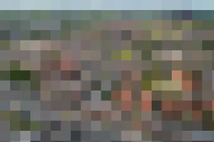 Amaliadwarsstraat 15 Utrecht thumbnail 36
