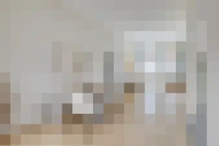 Amaliadwarsstraat 15 Utrecht thumbnail 9