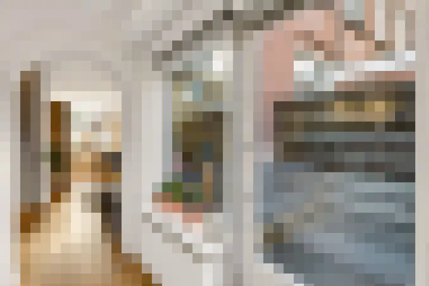 Amaliadwarsstraat 9 Utrecht thumbnail 11