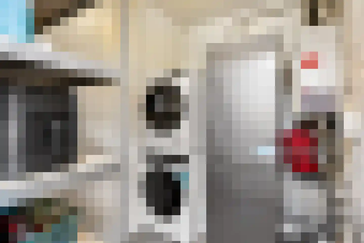 Amaliadwarsstraat 9 Utrecht thumbnail 15