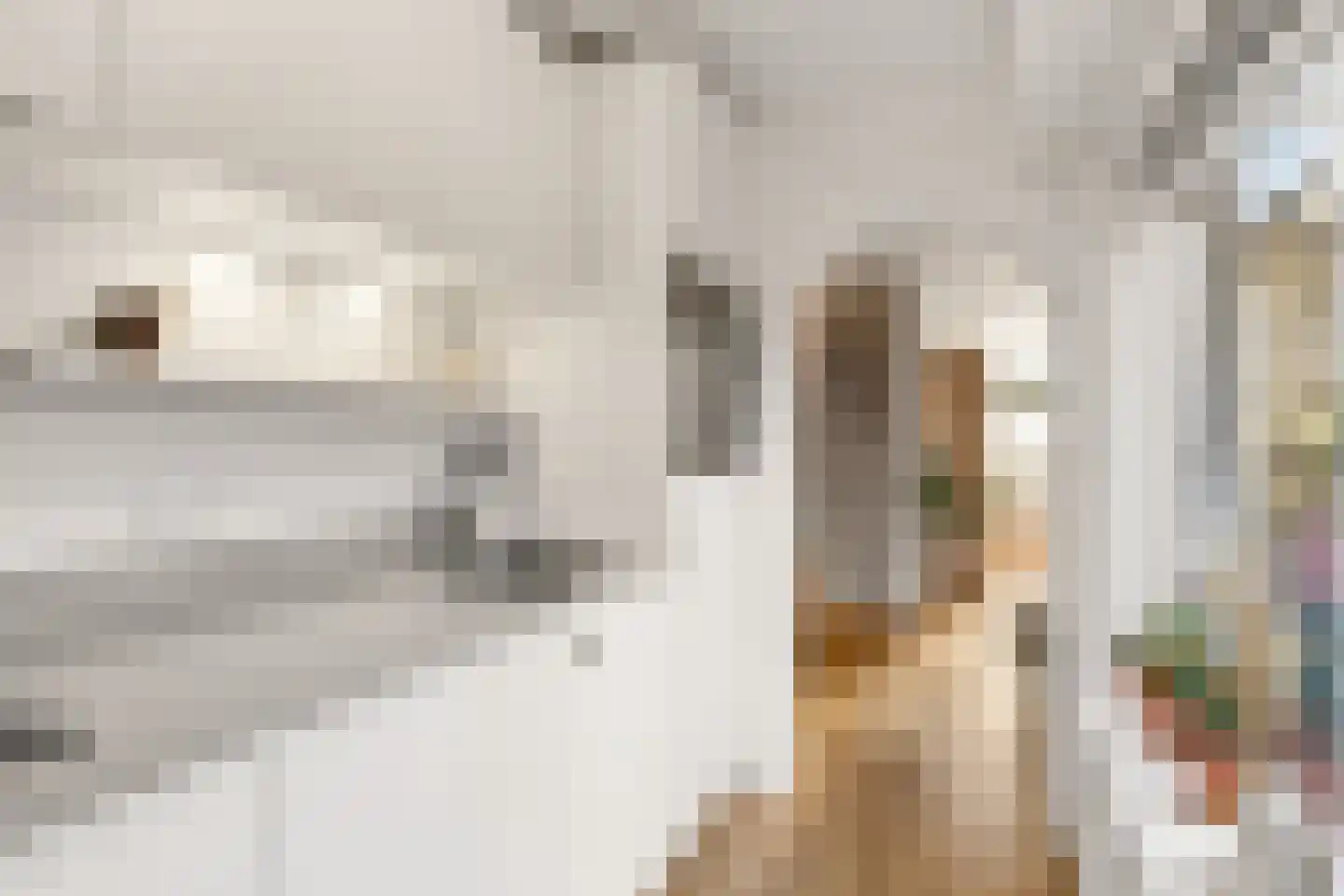 Amaliadwarsstraat 9 Utrecht thumbnail 17