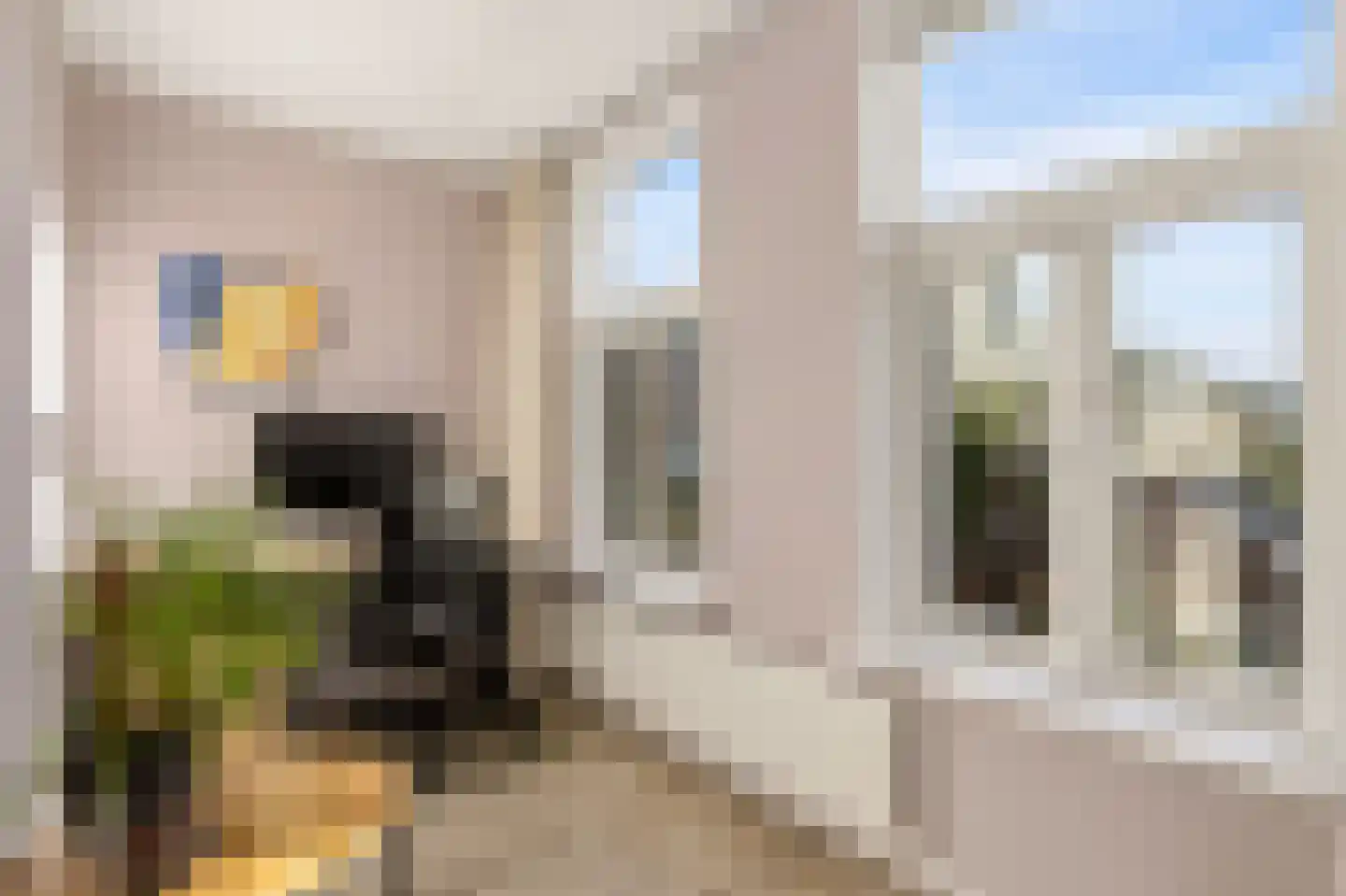 Amaliadwarsstraat 9 Utrecht thumbnail 21
