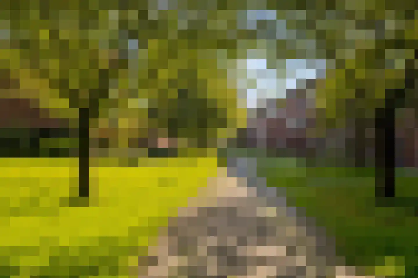 Amaliadwarsstraat 9 Utrecht thumbnail 34