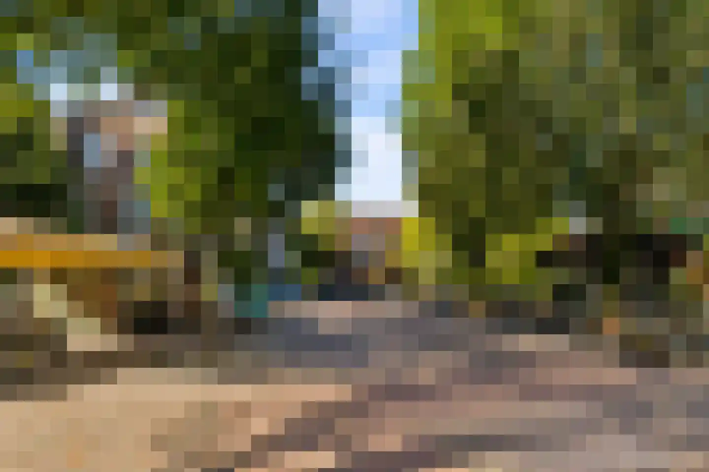 Amaliadwarsstraat 9 Utrecht thumbnail 38