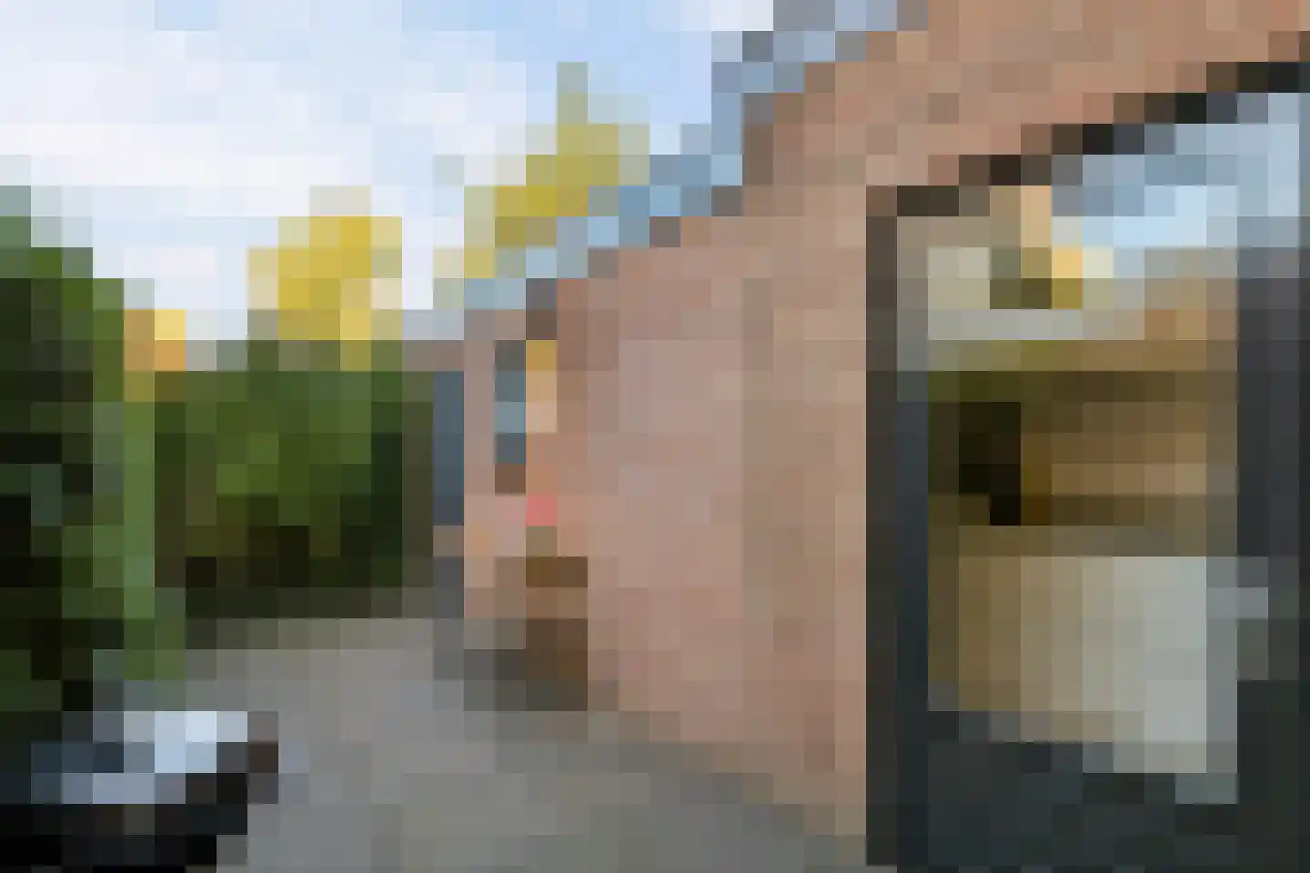 Amaliadwarsstraat 9 Utrecht thumbnail 4