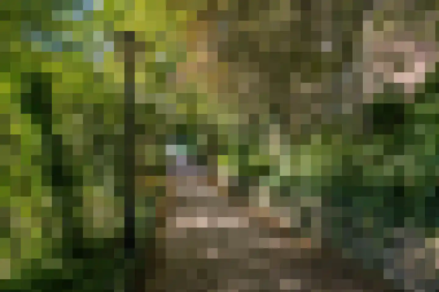 Amaliadwarsstraat 9 Utrecht thumbnail 40