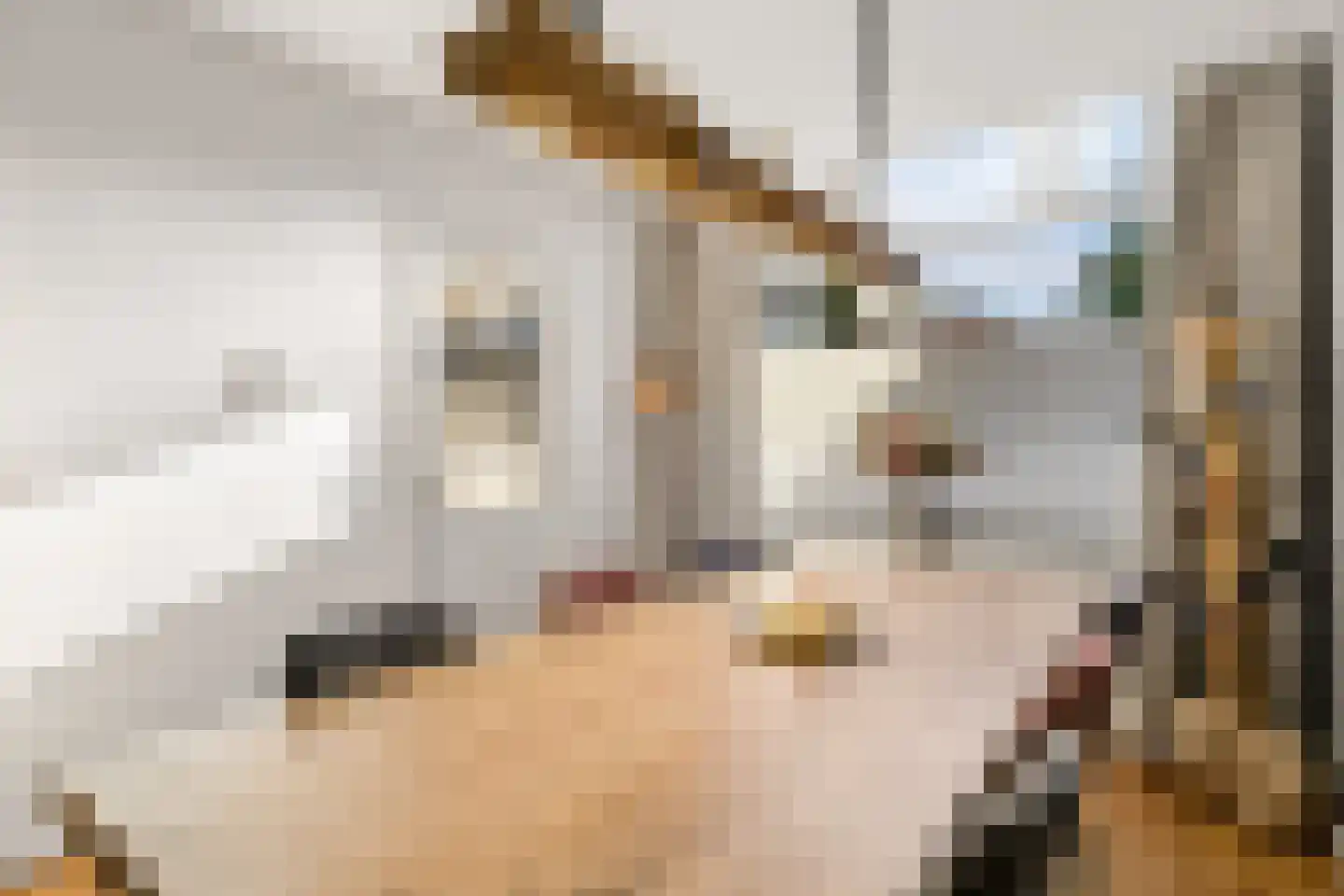 Amaliadwarsstraat 9 Utrecht thumbnail 5