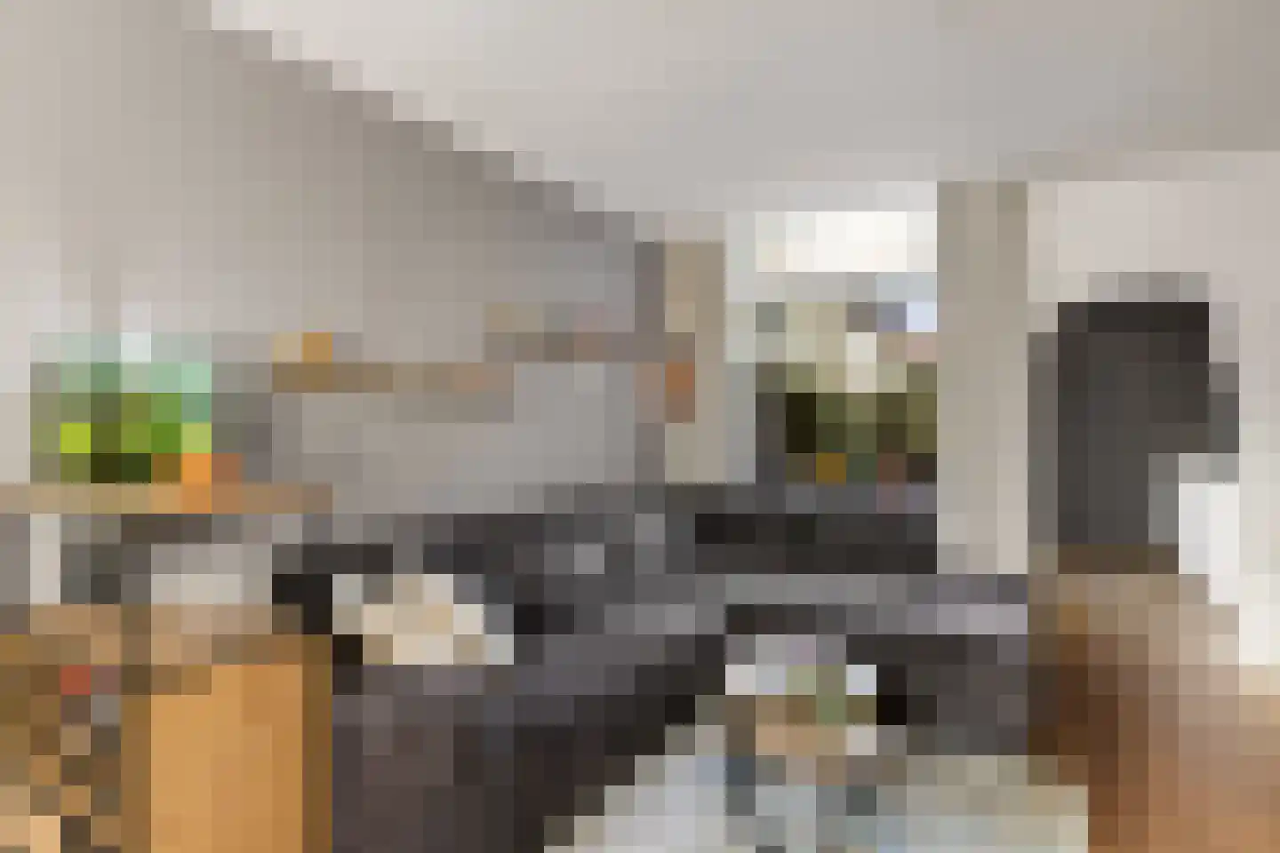 Amaliadwarsstraat 9 Utrecht thumbnail 6