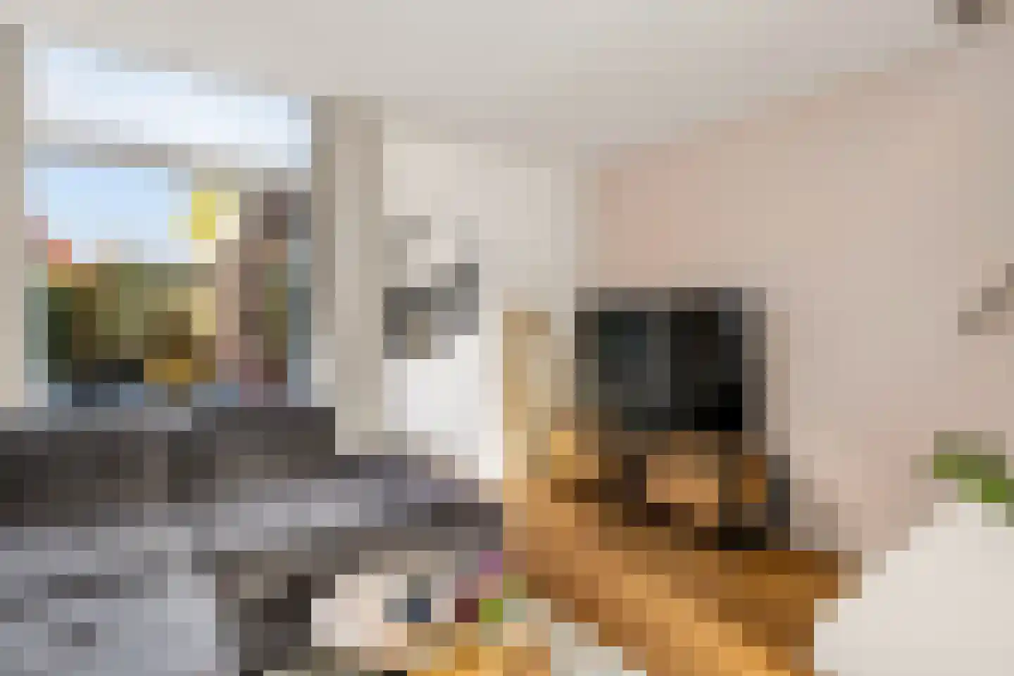 Amaliadwarsstraat 9 Utrecht thumbnail 7
