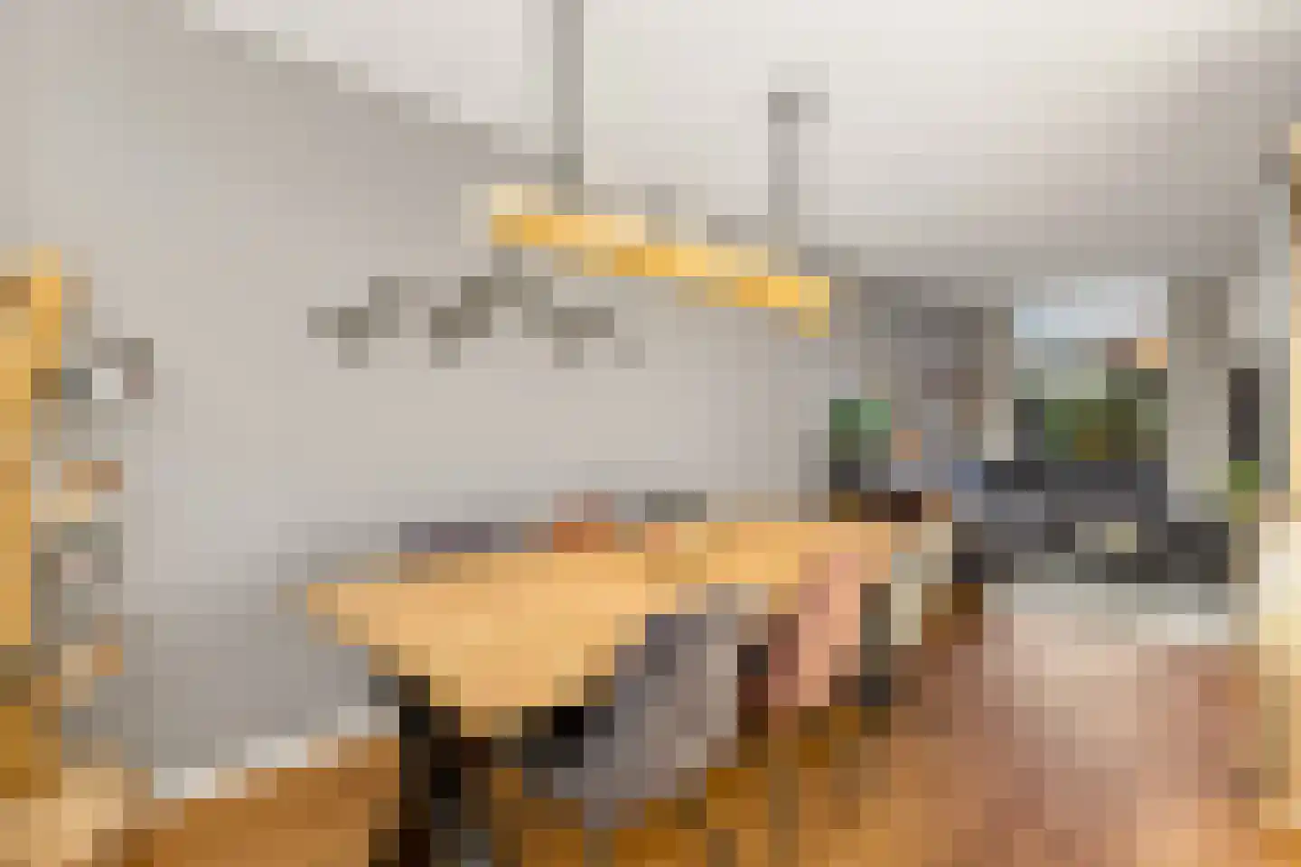 Amaliadwarsstraat 9 Utrecht thumbnail 8