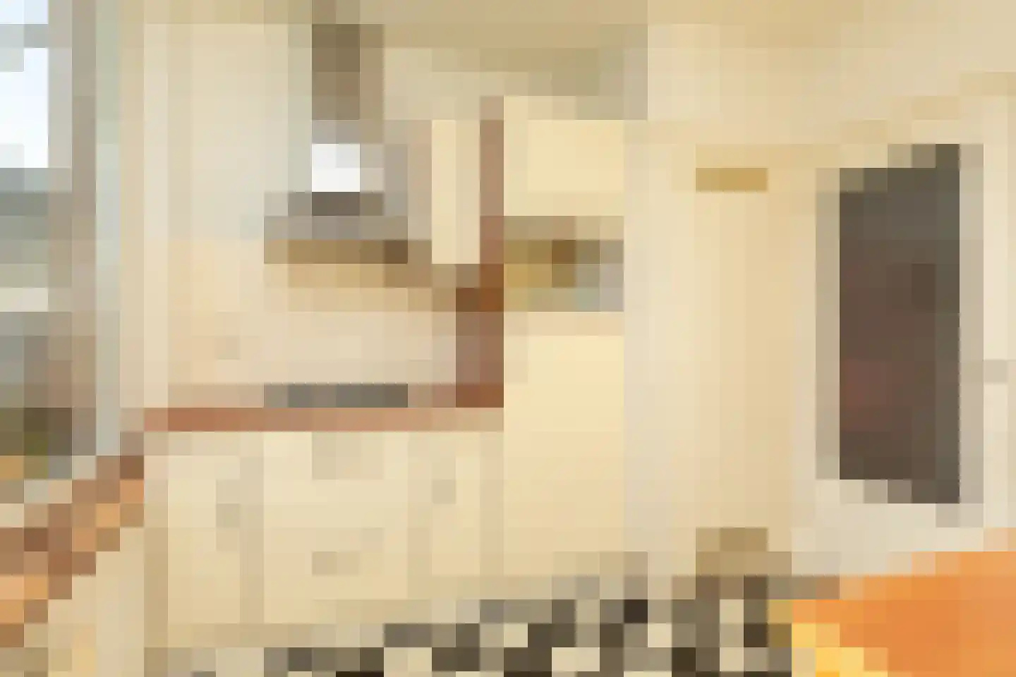 Amaliagaarde 10 Bussum thumbnail 13