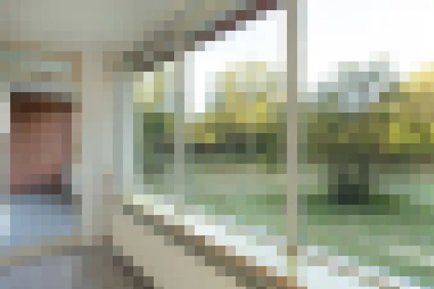 Amaliagaarde 10 Bussum thumbnail 7