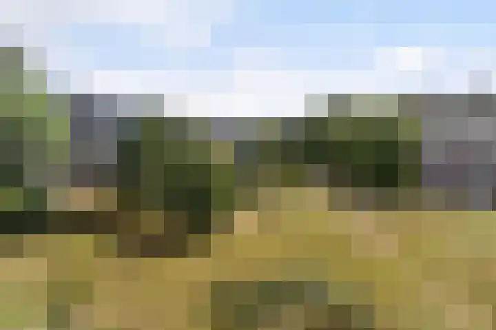 Amaliagaarde 17 Bussum thumbnail 15