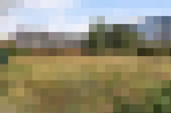 Amaliagaarde 17 Bussum thumbnail 16