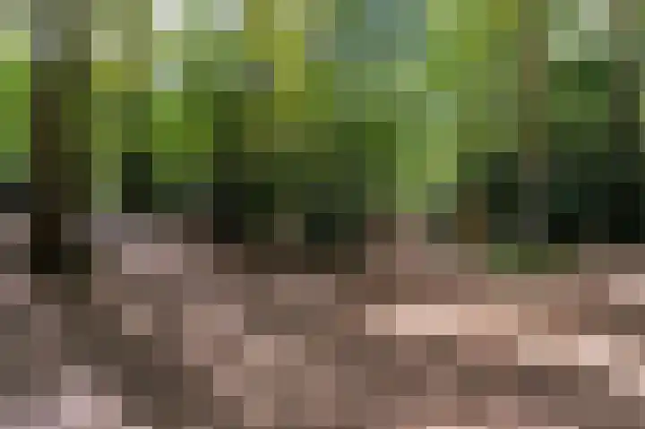 Amaliagaarde 17 Bussum thumbnail 18