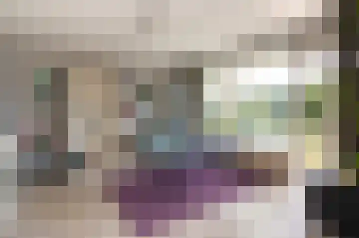 Amaliagaarde 17 Bussum thumbnail 6