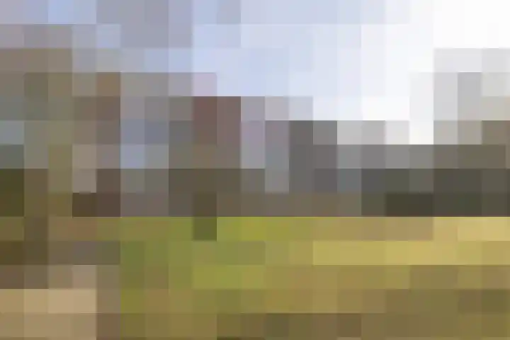 Amaliagaarde 24 Bussum thumbnail 18