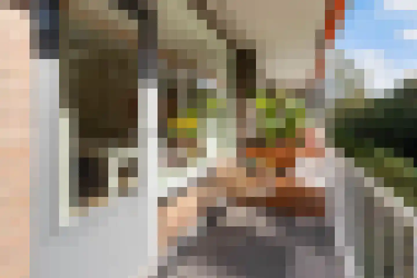 Amaliagaarde 66 Bussum thumbnail 12