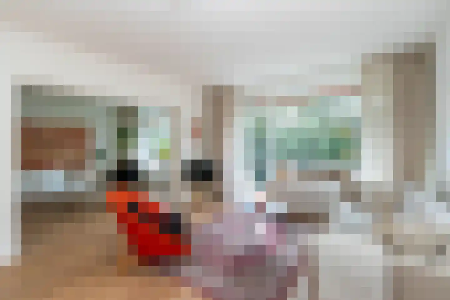 Amaliagaarde 66 Bussum thumbnail 7