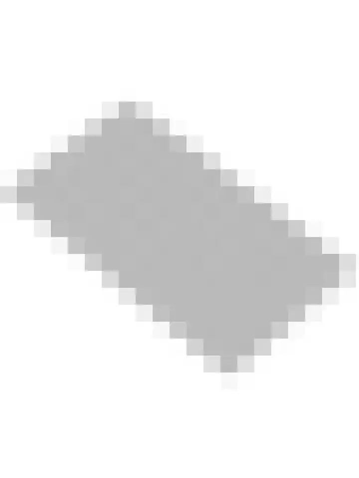 Amaliahof 10 Puttershoek thumbnail 32
