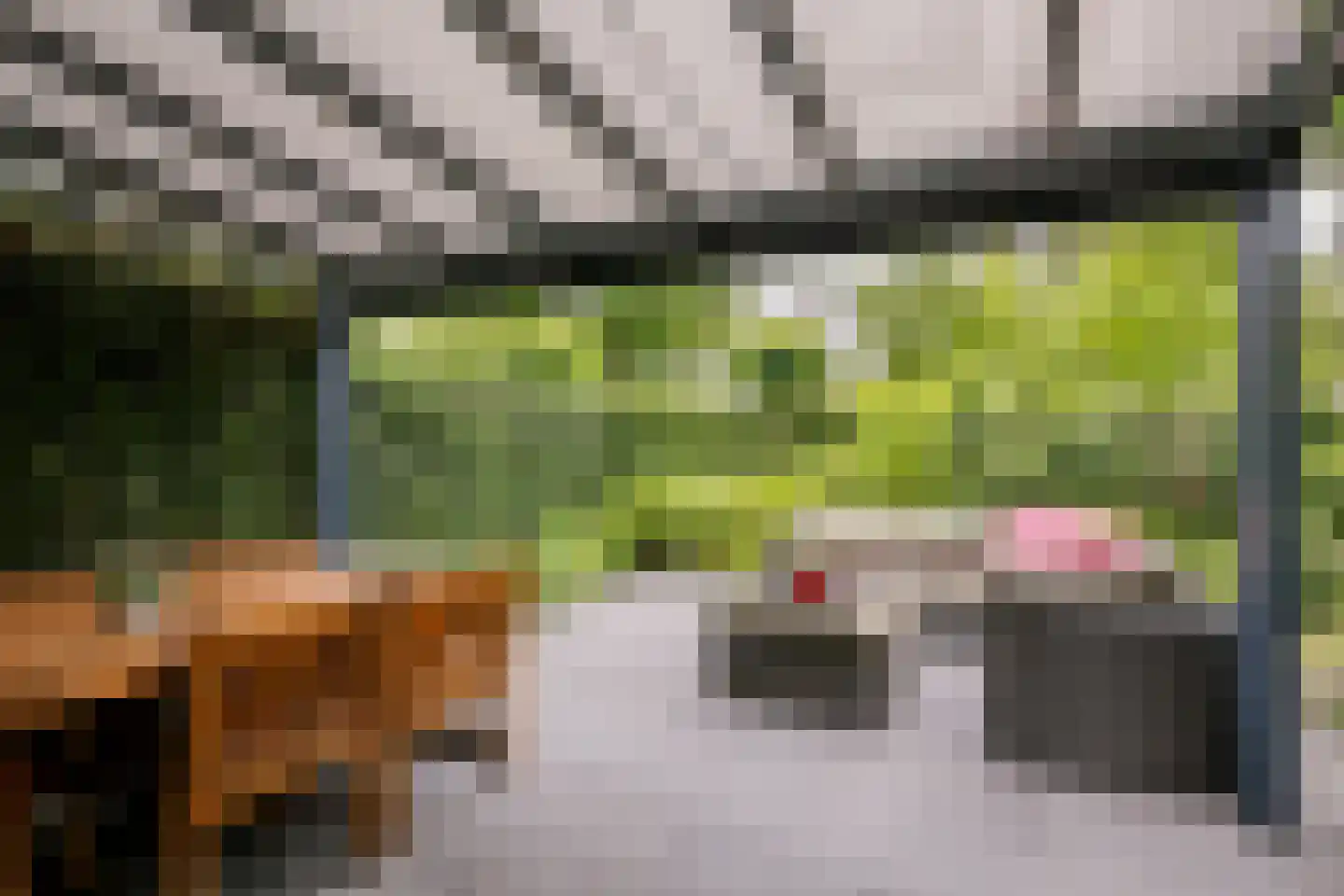 Amaliahof 2 Ermelo thumbnail 31