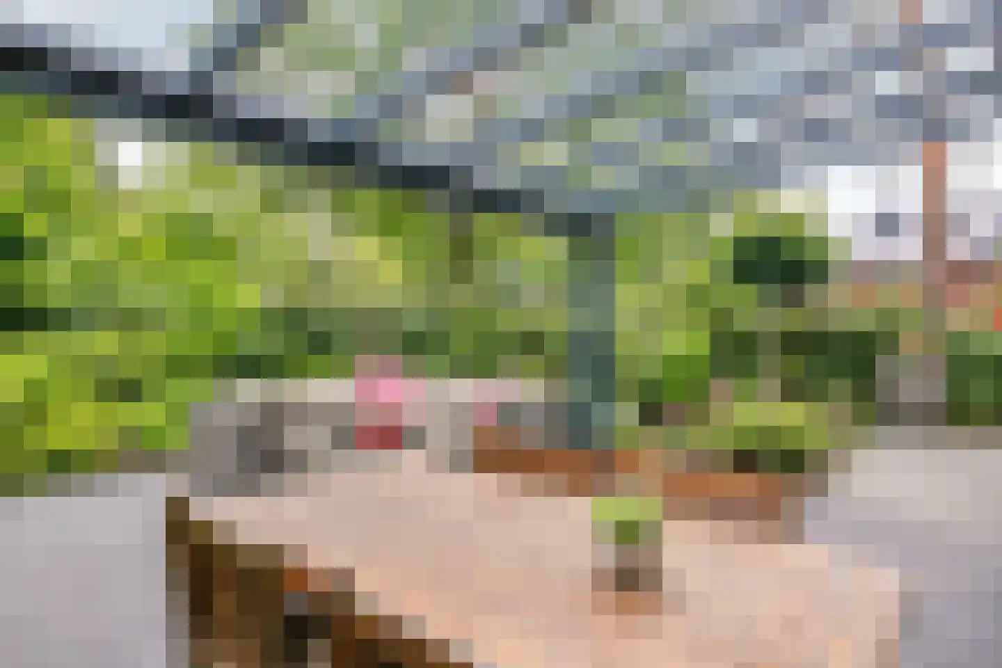 Amaliahof 2 Ermelo thumbnail 33