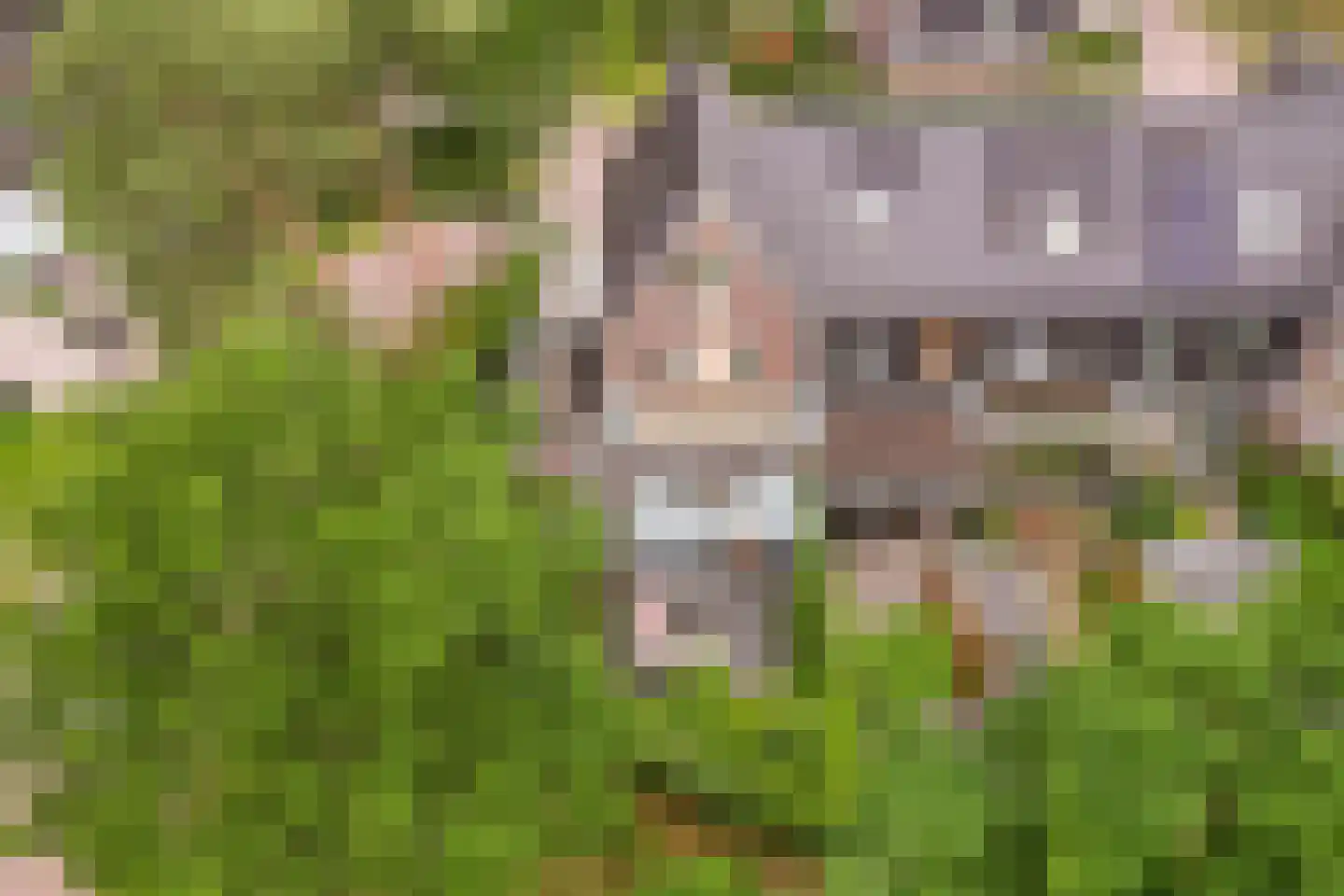 Amaliahof 2 Ermelo thumbnail 41