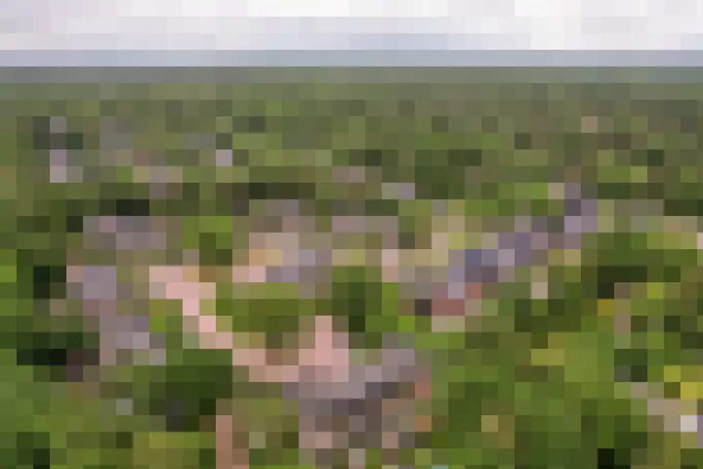 Amaliahof 2 Ermelo thumbnail 43