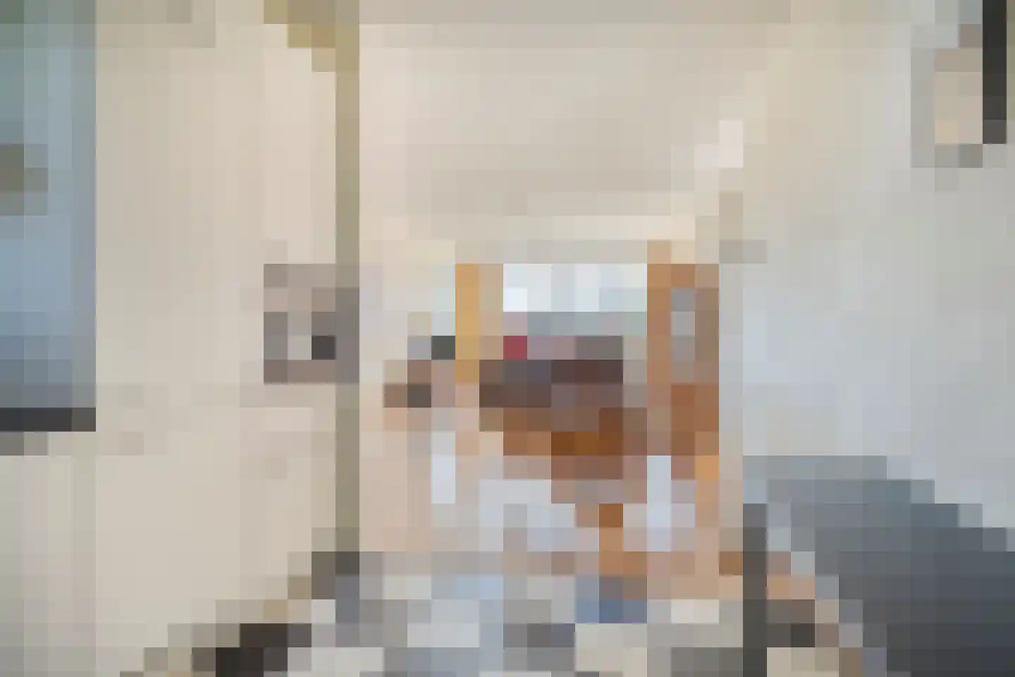 Amaliahof 25 Haastrecht thumbnail 10