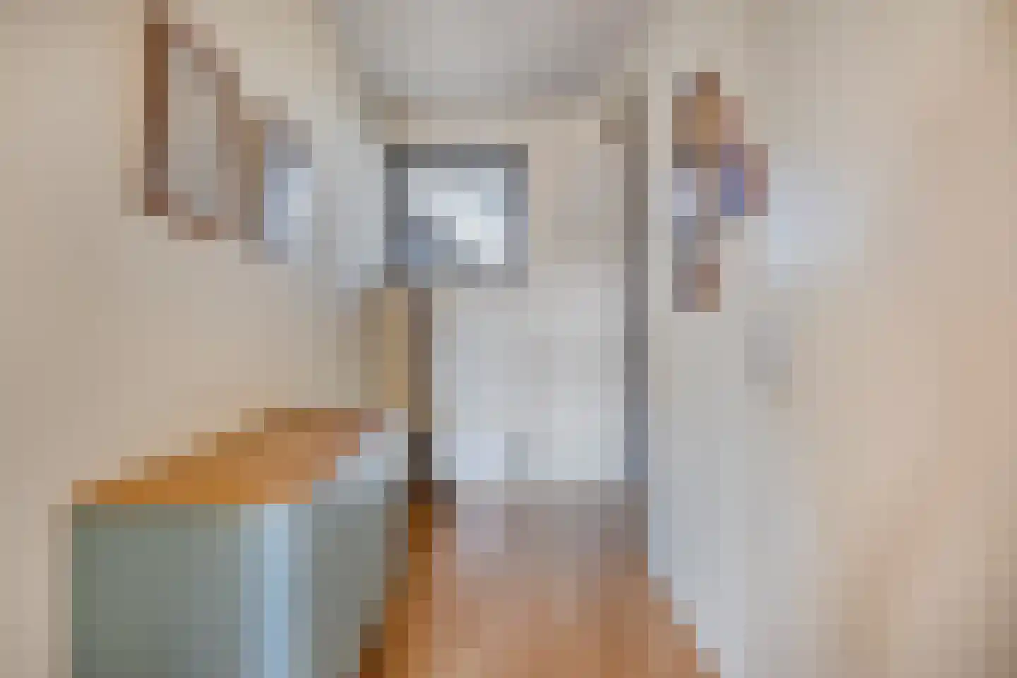 Amaliahof 25 Haastrecht thumbnail 25