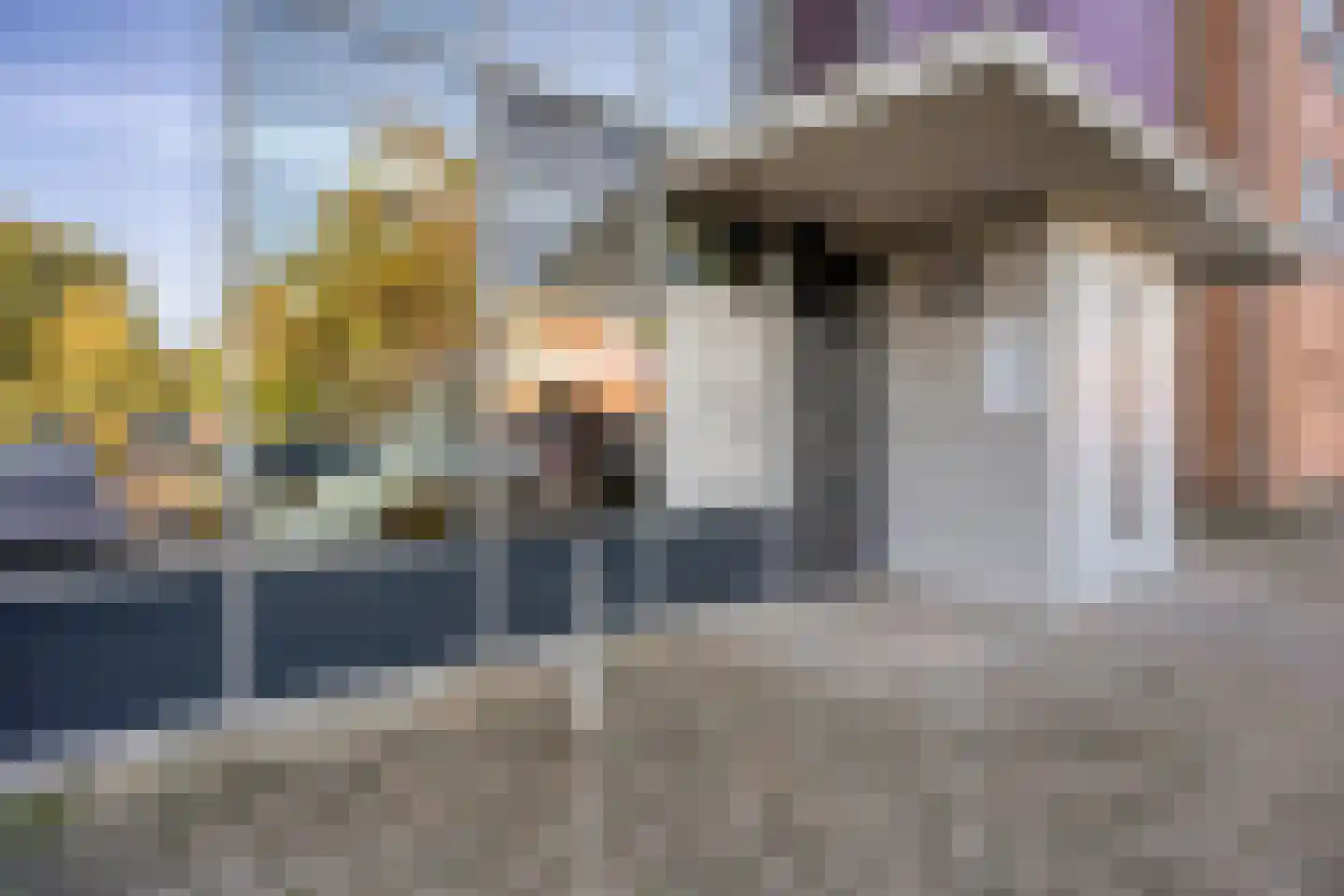 Amaliahof 25 Haastrecht thumbnail 4