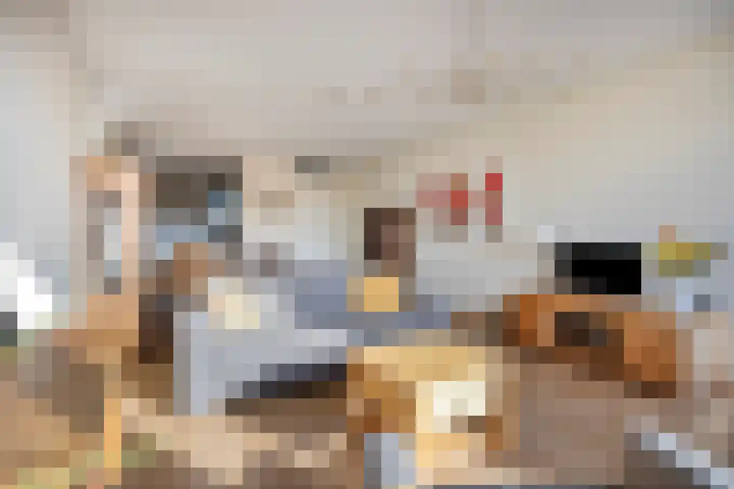 Amaliahof 25 Haastrecht thumbnail 7