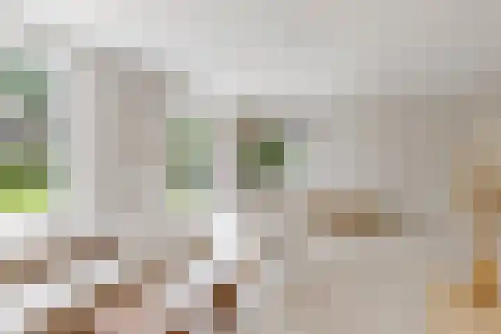 Amaliahof 5 a Ermelo thumbnail 17