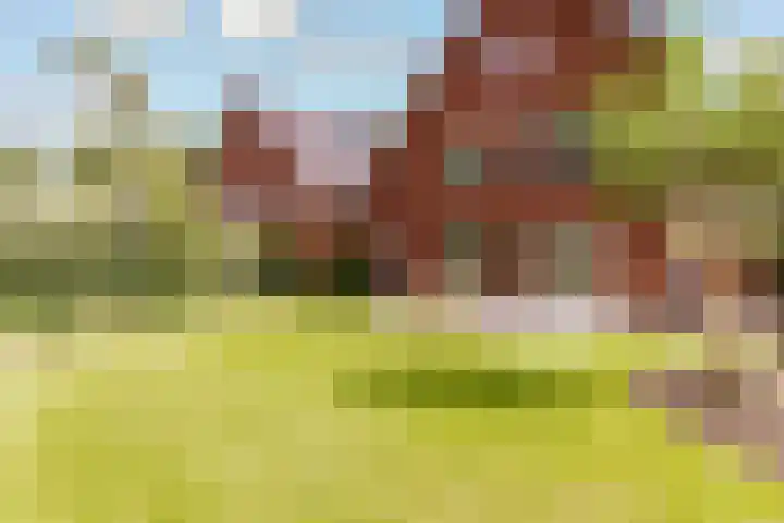 Amaliahof 5 a Ermelo thumbnail 5