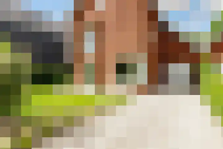 Amaliahof 5 a Ermelo thumbnail 6