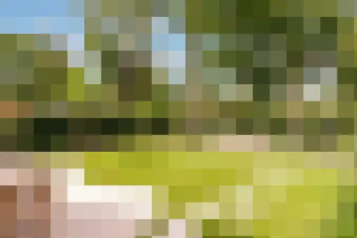 Amaliahof 5 a Ermelo thumbnail 68