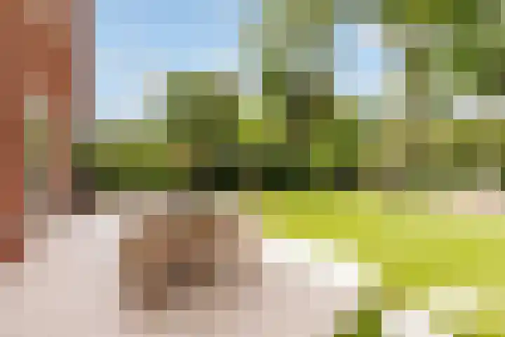 Amaliahof 5 a Ermelo thumbnail 69