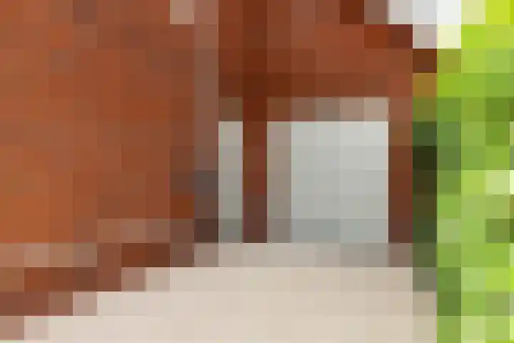 Amaliahof 5 a Ermelo thumbnail 7